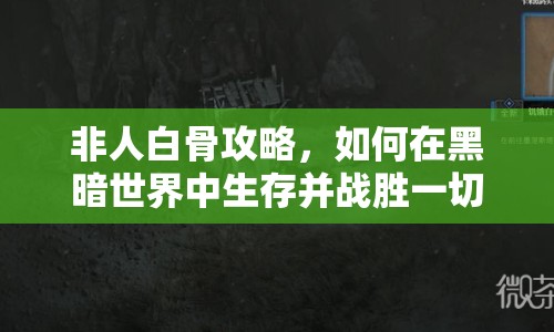 非人白骨攻略，如何在黑暗世界中生存并戰(zhàn)勝一切？