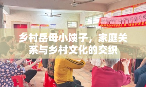 鄉(xiāng)村岳母小姨子，家庭關(guān)系與鄉(xiāng)村文化的交織