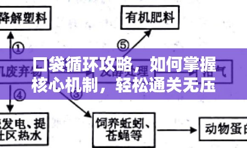 口袋循環(huán)攻略，如何掌握核心機(jī)制，輕松通關(guān)無壓力？