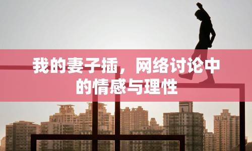 我的妻子插，網(wǎng)絡(luò)討論中的情感與理性
