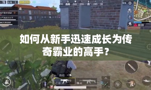 如何從新手迅速成長為傳奇霸業(yè)的高手？