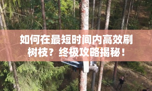 如何在最短時(shí)間內(nèi)高效刷樹枝？終極攻略揭秘！