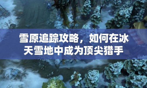 雪原追蹤攻略，如何在冰天雪地中成為頂尖獵手