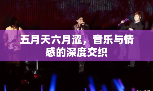 五月天六月澀，音樂(lè)與情感的深度交織