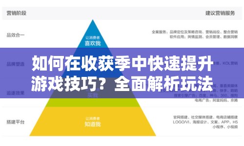 如何在收獲季中快速提升游戲技巧？全面解析玩法與高效策略！