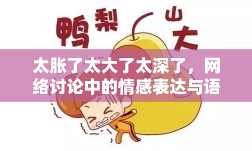 太脹了太大了太深了，網(wǎng)絡(luò)討論中的情感表達與語言現(xiàn)象