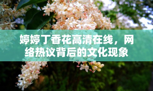 婷婷丁香花高清在線，網(wǎng)絡(luò)熱議背后的文化現(xiàn)象