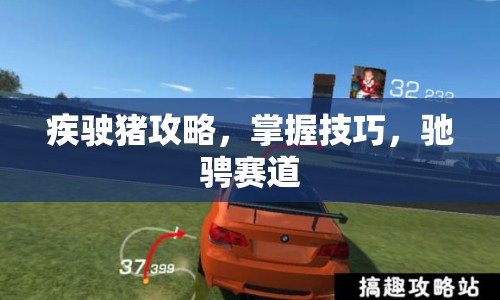 疾駛豬攻略，掌握技巧，馳騁賽道