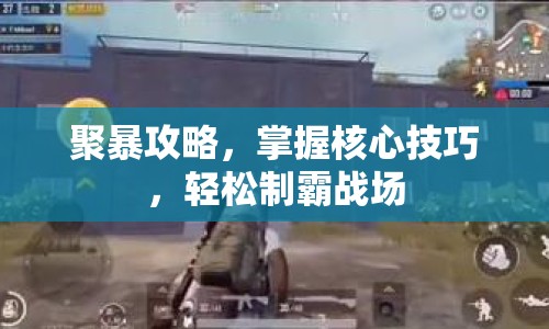 聚暴攻略，掌握核心技巧，輕松制霸戰(zhàn)場(chǎng)