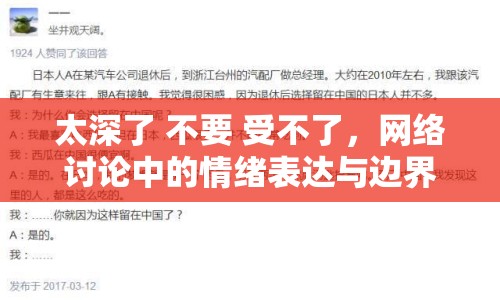 太深了 不要 受不了，網(wǎng)絡(luò)討論中的情緒表達(dá)與邊界感