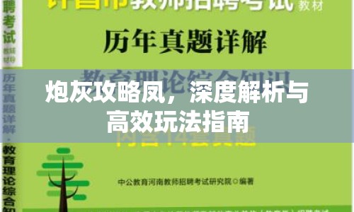 炮灰攻略鳳，深度解析與高效玩法指南
