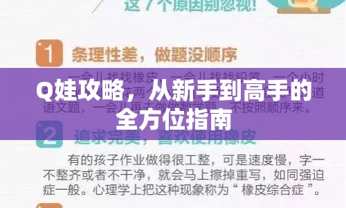 Q娃攻略，從新手到高手的全方位指南