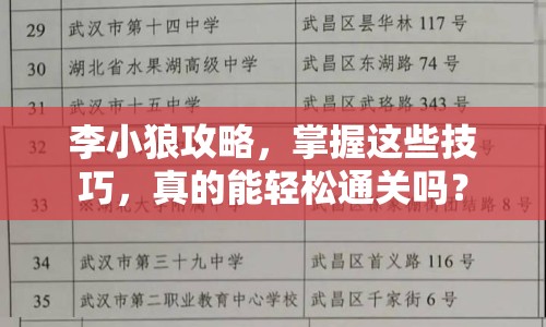 李小狼攻略，掌握這些技巧，真的能輕松通關(guān)嗎？