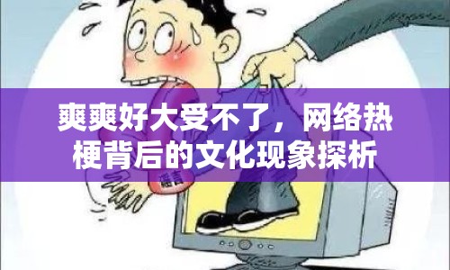 爽爽好大受不了，網(wǎng)絡(luò)熱梗背后的文化現(xiàn)象探析