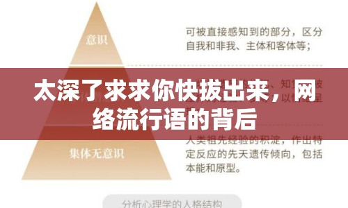 太深了求求你快拔出來，網(wǎng)絡(luò)流行語(yǔ)的背后