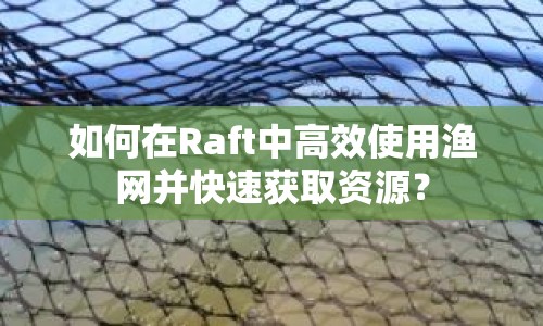 如何在Raft中高效使用漁網(wǎng)并快速獲取資源？