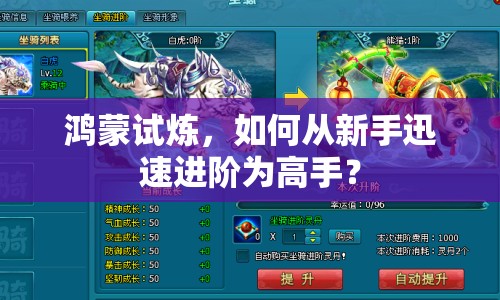 鴻蒙試煉，如何從新手迅速進(jìn)階為高手？