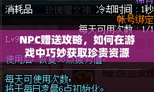 NPC贈(zèng)送攻略，如何在游戲中巧妙獲取珍貴資源