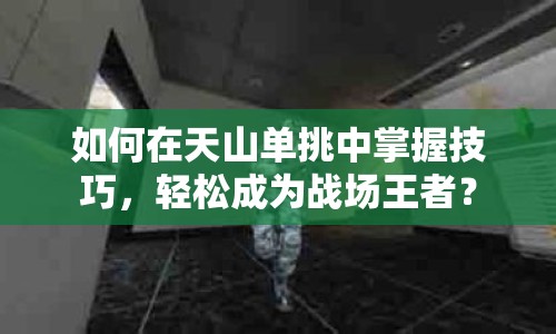 如何在天山單挑中掌握技巧，輕松成為戰(zhàn)場王者？