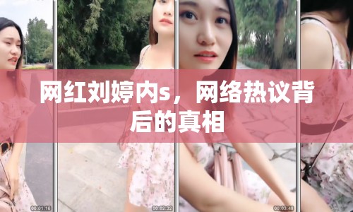 網(wǎng)紅劉婷內(nèi)s，網(wǎng)絡(luò)熱議背后的真相
