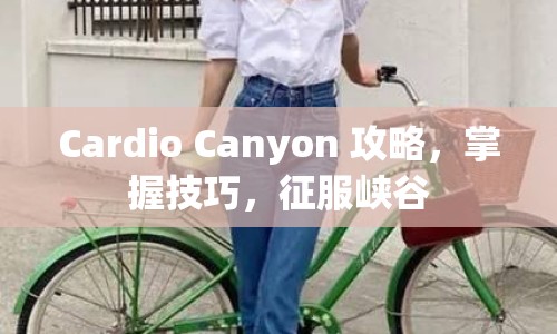 Cardio Canyon 攻略，掌握技巧，征服峽谷