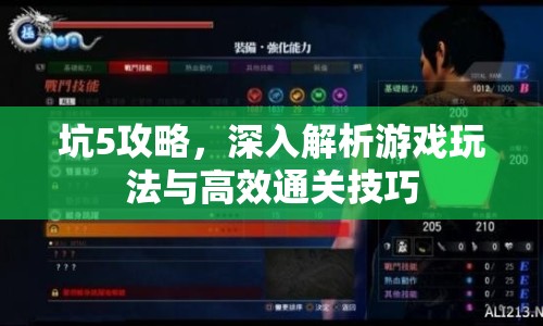坑5攻略，深入解析游戲玩法與高效通關(guān)技巧