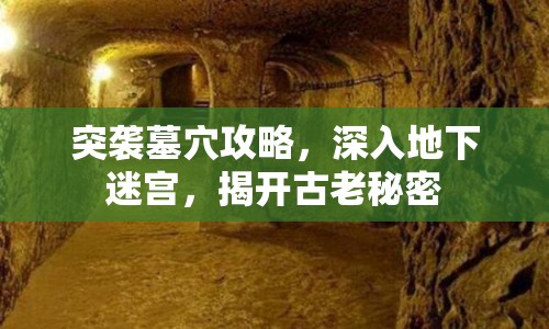 突襲墓穴攻略，深入地下迷宮，揭開古老秘密