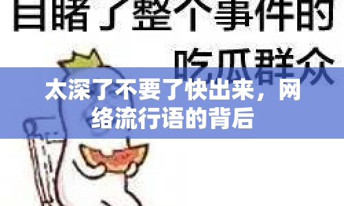 太深了不要了快出來，網(wǎng)絡(luò)流行語的背后