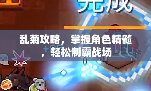 亂菊攻略，掌握角色精髓，輕松制霸戰(zhàn)場(chǎng)