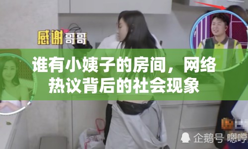 誰有小姨子的房間，網(wǎng)絡(luò)熱議背后的社會現(xiàn)象