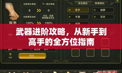 武器進(jìn)階攻略，從新手到高手的全方位指南