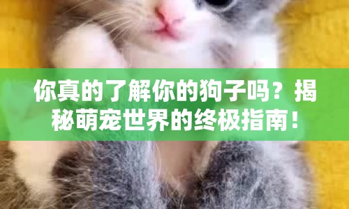 你真的了解你的狗子嗎？揭秘萌寵世界的終極指南！