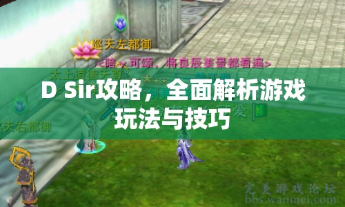 D Sir攻略，全面解析游戲玩法與技巧
