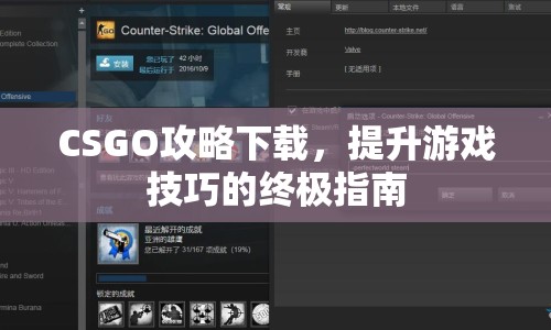CSGO攻略下載，提升游戲技巧的終極指南