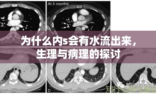 為什么內(nèi)s會有水流出來，生理與病理的探討