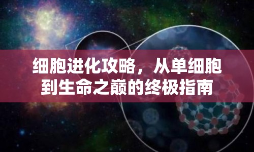 細(xì)胞進(jìn)化攻略，從單細(xì)胞到生命之巔的終極指南