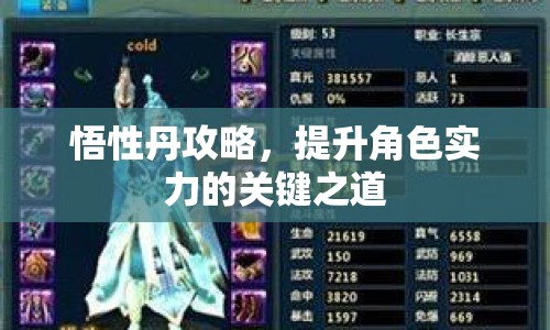 悟性丹攻略，提升角色實(shí)力的關(guān)鍵之道
