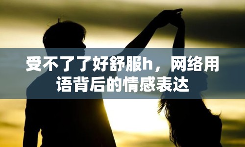 受不了了好舒服h，網(wǎng)絡(luò)用語(yǔ)背后的情感表達(dá)