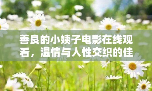 善良的小姨子電影在線觀看，溫情與人性交織的佳作