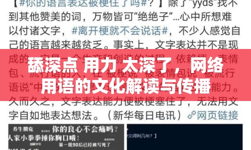 舔深點 用力 太深了，網(wǎng)絡(luò)用語的文化解讀與傳播