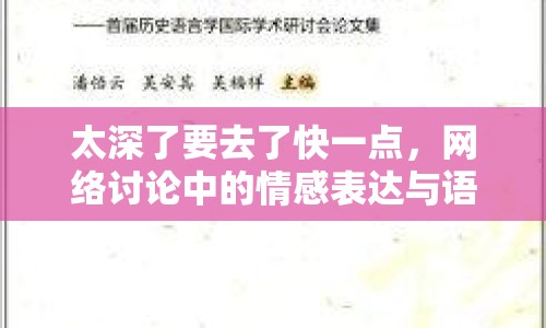 太深了要去了快一點，網(wǎng)絡(luò)討論中的情感表達與語言演變
