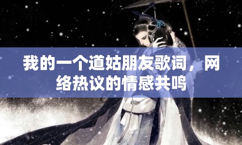 我的一個(gè)道姑朋友歌詞，網(wǎng)絡(luò)熱議的情感共鳴