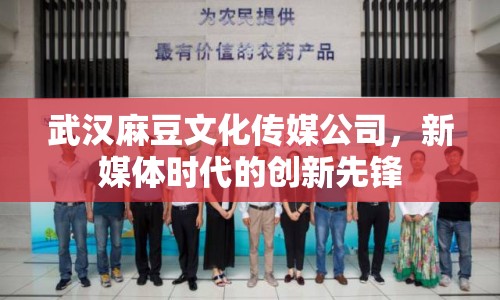 武漢麻豆文化傳媒公司，新媒體時(shí)代的創(chuàng)新先鋒