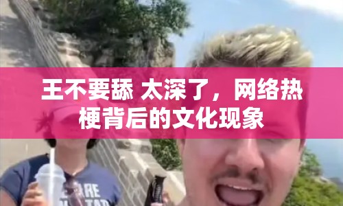王不要舔 太深了，網(wǎng)絡(luò)熱梗背后的文化現(xiàn)象