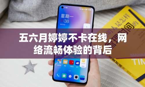 五六月婷婷不卡在線，網絡流暢體驗的背后