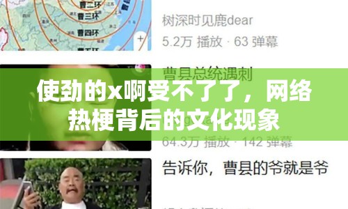 使勁的x啊受不了了，網(wǎng)絡(luò)熱梗背后的文化現(xiàn)象