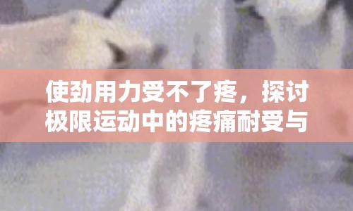使勁用力受不了疼，探討極限運(yùn)動(dòng)中的疼痛耐受與心理挑戰(zhàn)
