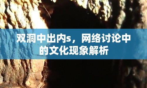 雙洞中出內(nèi)s，網(wǎng)絡(luò)討論中的文化現(xiàn)象解析