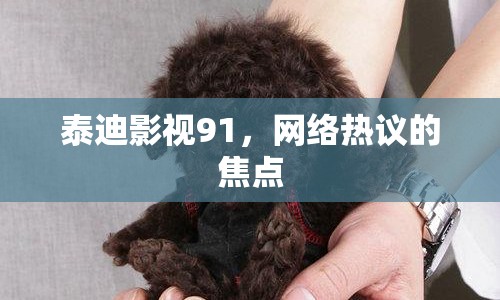 泰迪影視91，網(wǎng)絡熱議的焦點