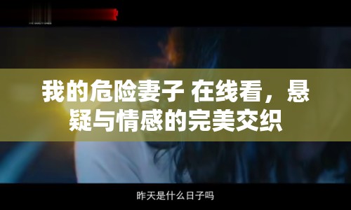 我的危險(xiǎn)妻子 在線看，懸疑與情感的完美交織